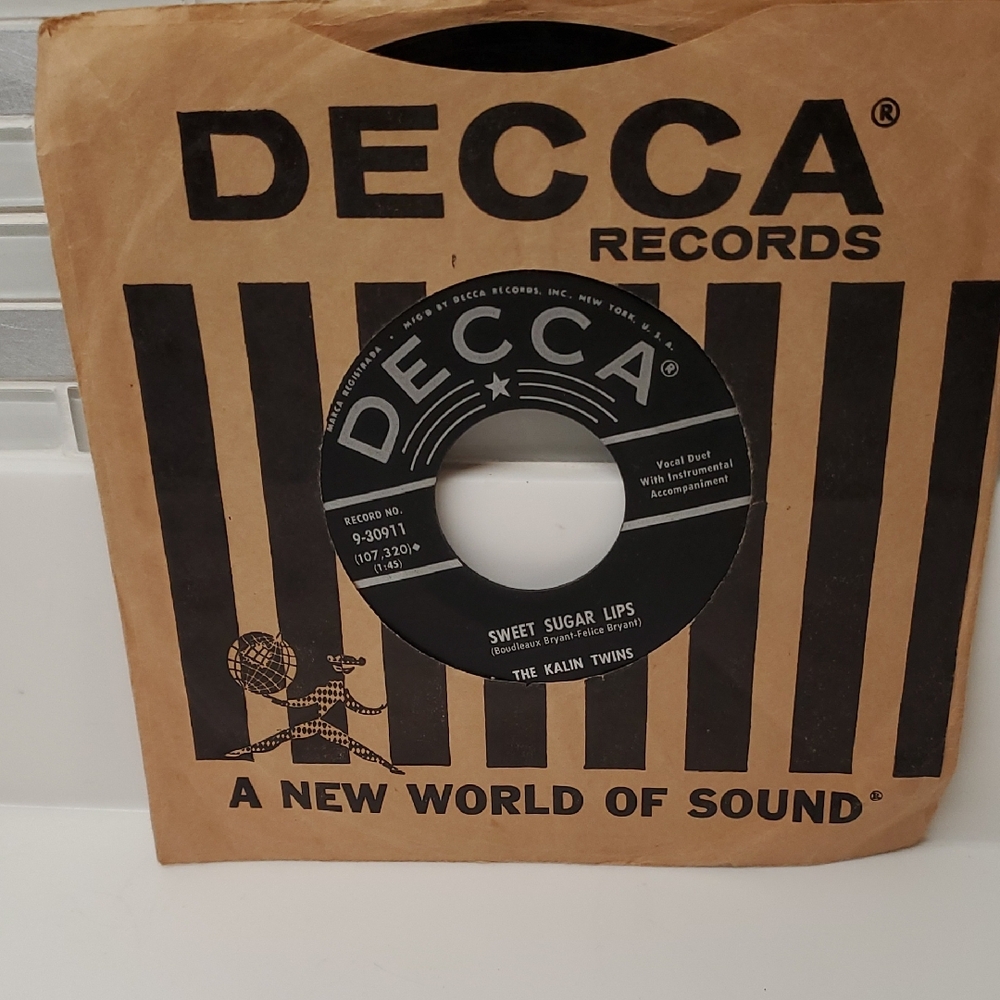 Records Vinyl Sleeve with Black Record
